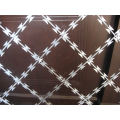 Welded Razor Barbed Wire Mesh Fence